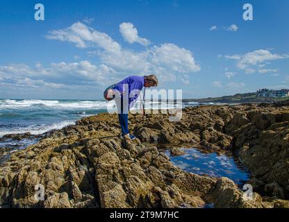 Groomsport, County Down, Nordirland 23. April 2022 - Rentnerin schaut in ein Felsenbecken am Groomsport Beach Stockfoto