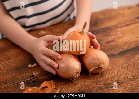 Kulinarisches Juwel: Ein Kind hält eine komplette Zwiebel und zeigt den Nährwert und das Vergnügen, dieses kulinarische Juwel in die Gerichte zu integrieren Stockfoto