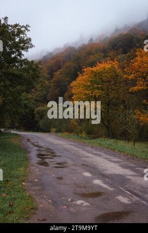 Leere Straße in Karpaten nach Regen. Ländliche Landschaft im Herbst. Herbstwald im Nebel und Straße zum Dorf. Leere Straße auf dem Land. Stockfoto