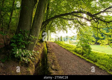 Wanderweg entlang des Stadtwassergrabens in Schwalenberg, Teutoburger Wald, Nordrhein-Westfalen Stockfoto