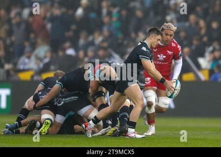 Swansea, Großbritannien. November 2023. Reuben Morgan-Williams von den Ospreys in Aktion. United Rugby Championship, Ospreys gegen Scarlets im Stadion Swansea.com in Swansea, Südwales am Sonntag, den 26. November 2023. bild von Geraint Nicholas/Andrew Orchard Sportfotografie/Alamy Live News Credit: Andrew Orchard Sportfotografie/Alamy Live News Stockfoto