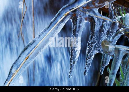 Eiszapfen, die sich über Grashalmen und anderen Vegetationen bilden, die über einem kleinen Bach/Ghetto auf Otley Chevin überhängen. Stockfoto