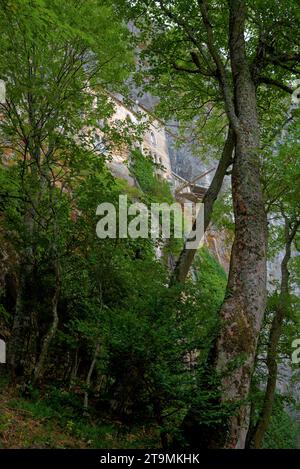 paysage de la sainte baume avec vue sur la plaine du plau d'aups et sur le sanctuaire de sainte marie madeleine Stockfoto