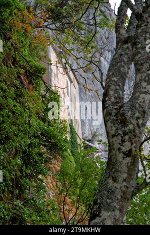 paysage de la sainte baume avec vue sur la plaine du plau d'aups et sur le sanctuaire de sainte marie madeleine Stockfoto