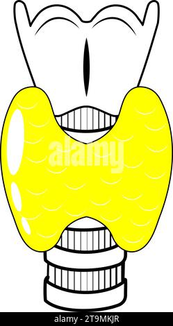 Symbol für schwarze Linie der Schilddrüse. Einfacher Umrissstil. Stilisiertes Piktogramm für Webdesign oder mobile App. Vektorabbildung. Symbol für flache Linie. Anatomie Stock Vektor