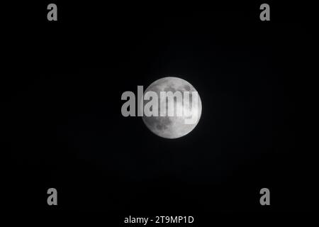 Vollmond im Winter, Waldviertel, Österreich Stockfoto