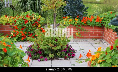 Sommer Hintergrund. Ein moderner Gemüsegarten mit erhöhten Ziegelbeeten. Hochbeete im Garten eines städtischen Gartens. Stockfoto