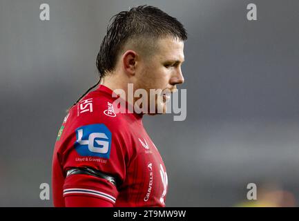 Swansea, Großbritannien. November 2023. Steff Evans von The Scarlet schaut zu. United Rugby Championship, Ospreys gegen Scarlets im Stadion Swansea.com in Swansea, Südwales am Sonntag, den 26. November 2023. bild von Geraint Nicholas/Andrew Orchard Sportfotografie/Alamy Live News Credit: Andrew Orchard Sportfotografie/Alamy Live News Stockfoto