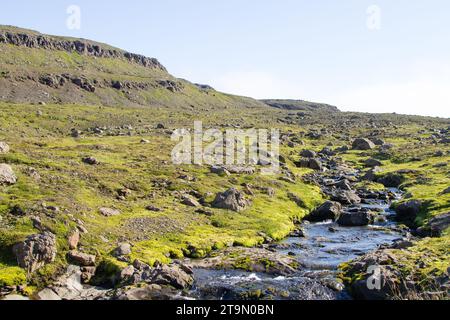 Mjoifjordur ländliche Landschaft, im Osten Islands. Isländische anzeigen Stockfoto