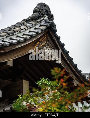 Ein buddhistischer Hasadera-Tempel in Kamakura Japanisch, umgeben von üppigem Grün und beleuchtet von hellen roten Laternen Stockfoto