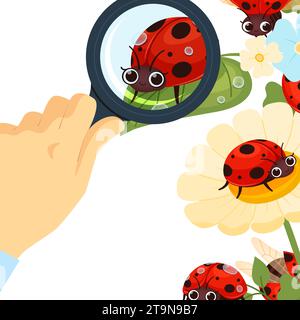 Wir schauen uns Marienkäfer an. Der Mensch analysiert Insekten durch Lupen. Vektor-Zeichentrickhintergrund Stock Vektor