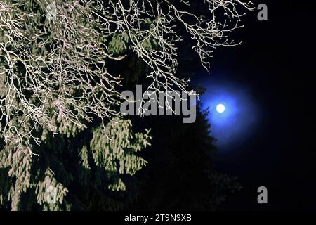 26. November 2023, Bayern, Stötten: Der wachsende Mond steht hinter frostbedeckten Bäumen auf dem 1055 Meter hohen Auerberg. Foto: Karl-Josef Hildenbrand/dpa Stockfoto