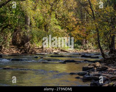 Niedriger Blick auf den Big Creek, einen von Felsen gesäumten Bach, der durch einen Laubwald mit Herbstlaub fließt. Fotografiert in der Chattahoochee River Nation Stockfoto