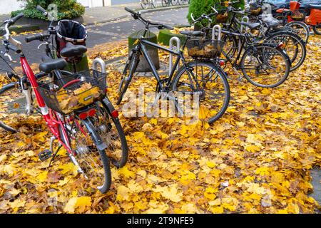 Herbst, Laub, Fahrradparkplatz, Stellplatz, Räder stehen auf einem Herbstlaub, Blätterteppich, Stockfoto