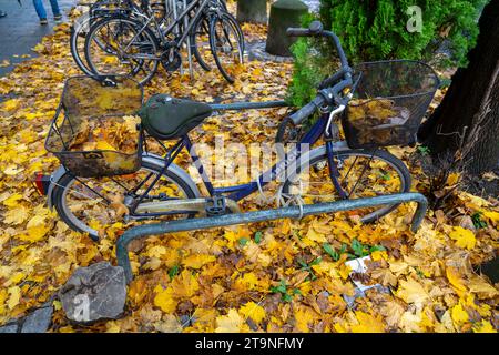 Herbst, Blätter, Fahrradparkplatz, Parkplatz, Fahrräder stehen auf Herbstlaub, Teppich aus Blättern, Stockfoto