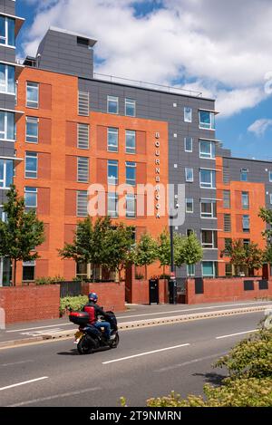 Speziell erbaute Studentenunterkunft in Selly Oak, in der Nähe der University of Birmingham, Großbritannien Stockfoto