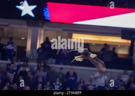 Indianapolis, Indiana, USA. November 2023. Während der Nationalhymne des Spiels zwischen den Tampa Bay Buccaneers und den Indianapolis Colts im Lucas Oil Stadium in Indianapolis, Indiana, flog ein amerikanischer bald Adler über das Feld. (Kreditbild: © Scott Stuart/ZUMA Press Wire) NUR REDAKTIONELLE VERWENDUNG! Nicht für kommerzielle ZWECKE! Quelle: ZUMA Press, Inc./Alamy Live News Stockfoto