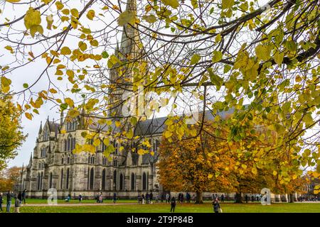 Das Gelände der Kathedrale von Salisbury wird von herbstlichen Blättern verdeckt, Salisbury, Wiltshire, England, Großbritannien Stockfoto