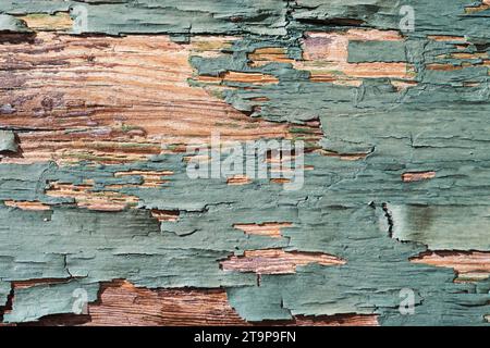 Alte verwitterte, schuppige, rissige grüne Farbe auf alten Holzbretthintergrund Stockfoto