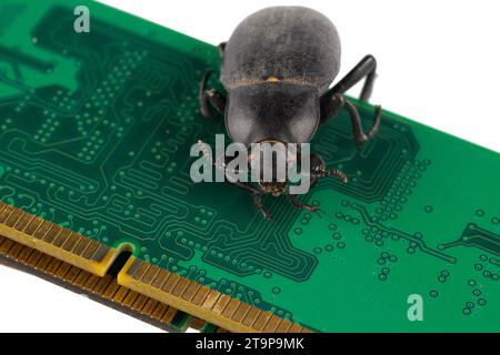 Fehler auf PC-Speicherplatine. Computerfehlerkonzept. Isoliert auf weißem Hintergrund. Stockfoto