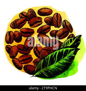 Kaffeebohnen. Handgezeichnete Tinte und Aquarellskizze Stockfoto