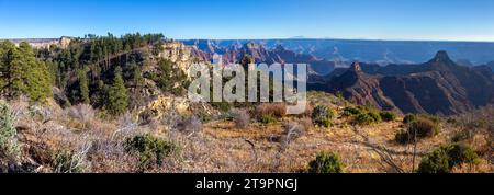 Aussichtspunkt Für Den Widforss Hiking Trail, Malerische Panoramalandschaft. Grand Canyon National Park Arizona USA Skyline am Nordrand, sonniger Herbsttag Stockfoto