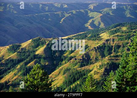 Hells Canyon mit Blick auf den Blick, Hells Canyon National Recreation Area, Hells Canyon National Scenic Byway, Oregon Stockfoto