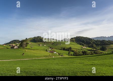 Hügelige Landschaft im Appenzellerland mit Bauernhöfen, grünen Wiesen und Weiden, Kanton Appenzell Innerrhoden, Schweiz Stockfoto