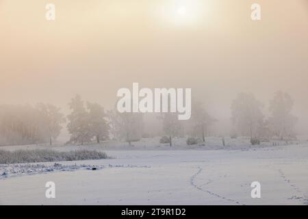 Atmosphärisches Wetter im Winter mit Schnee und Frost Stockfoto
