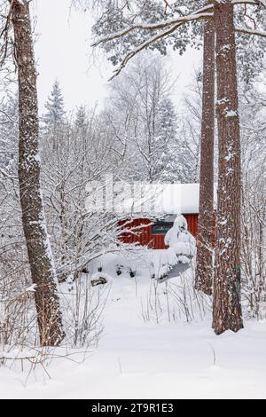Rote Hütte in einem wunderschönen Winterwald Stockfoto