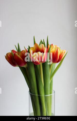 Rote gelbe Tulpen in Einem Bündel in Einer runden Vase vertikales Stockfoto Stockfoto