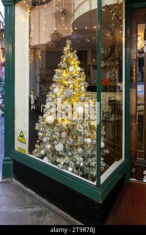 Weihnachtsbaum in einem Schaufenster in Liverpool Stockfoto