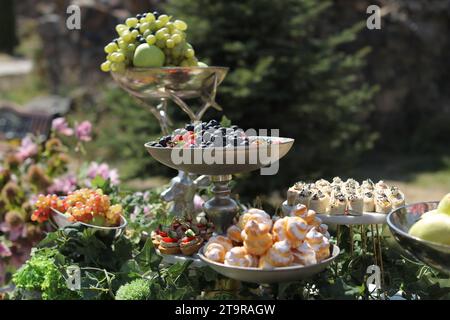 Die trockenen Tabletts mit frischem Obst auf einem grasbewachsenen Gartenrasen. Stockfoto