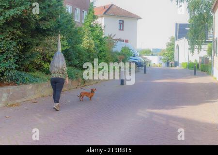 Rückansicht einer älteren erwachsenen Frau, die auf der Dorfstraße zwischen Haus, Kopfsteinpflasterstraße, Bäumen und grüner Vegetation läuft, im Hintergrund nebelig, sonniger Mo Stockfoto