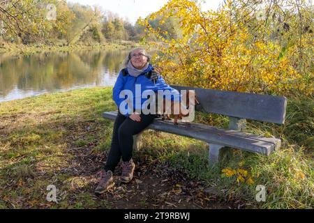 Senior Wanderer macht eine Pause, sitzt auf einer Holzbank mit ihrem Hund, Fluss umgeben von Herbstbäumen im Hintergrund, belgisches Naturschutzgebiet de Wissen Ma Stockfoto