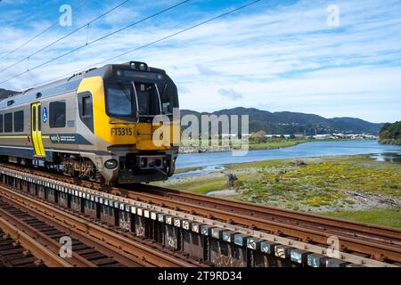 Elektrischer Vorortzug über den Hutt River bei Ava, Petone, Hutt City, Wellington, Nordinsel, Neuseeland Stockfoto