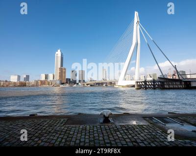nieuwe maas Fluss und erasmus Brücke von der Uferpromenade von kop van zuid in der niederländischen Stadt rotterdam an sonnigem Tag mit blauem Himmel Stockfoto