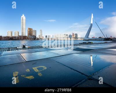 nieuwe maas Fluss und erasmus Brücke von der Uferpromenade von kop van zuid in der niederländischen Stadt rotterdam an sonnigem Tag mit blauem Himmel Stockfoto