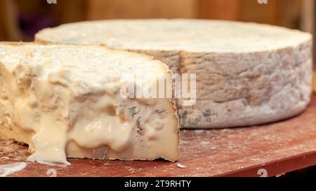 Robiola-Käse, ein pasteurisierter Dreifachmilchkäse aus Ziegen-, Kuh- und Schafmilch, hergestellt in der Region Piemont in Italien, Europa. Stockfoto