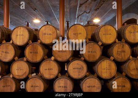 Fässer gefüllt mit Wein auf einem Weingut im Napa Valley. Stockfoto