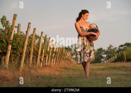 Eine Frau, die in einem Weinberg in Uruguay läuft. Stockfoto