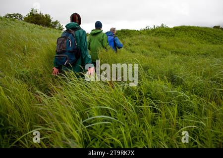 Alaska2010.-auf der Suche nach braunen Bieren auf der Kenai-Halbinsel. Stockfoto