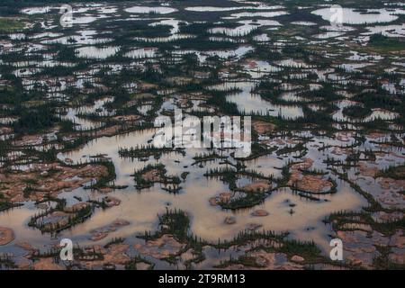 Bilder aus dem Wood Buffalo National Park, dem Nistplatz für den vom Aussterben bedrohten Keucherkrane. Stockfoto