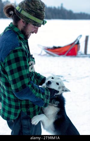 Sled Dog Stockfoto