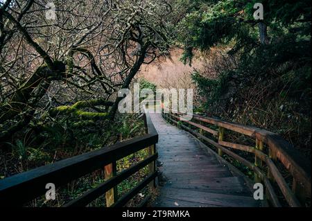 Promenade zum Indian Beach im Ecola State Park Oregon Stockfoto