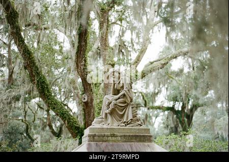 Wunderschöner Staat und Live-Eichen bedeckt mit spanischem Moos in Savannah GA Stockfoto