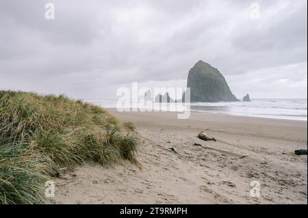 Cannon Beach Haystack Rock im Herbst Stockfoto