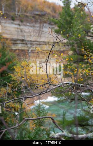 Leere Äste vor dem See und Klippen im oberen michigan Stockfoto