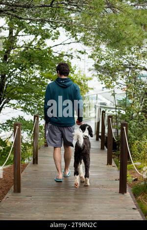 Rückansicht des sportlichen Hundes, der mit dem Besitzer im Haus läuft Stockfoto