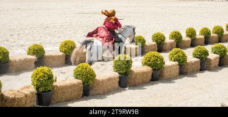 Osmanische Reiter in seiner ethnischen Kleidung auf seinem Pferd Reiten Stockfoto